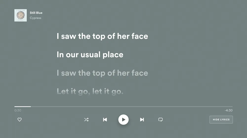 Spotify Premium Mod APK v9.0.26.209 (Premium Gratis) 4