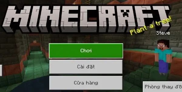 Tyel Vietnam v1.6.1 (Paket Vietnam untuk Minecraft v1.21) 2